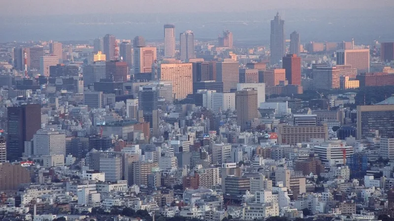 霞のかかった空の下に広がる東京の市街地の写真